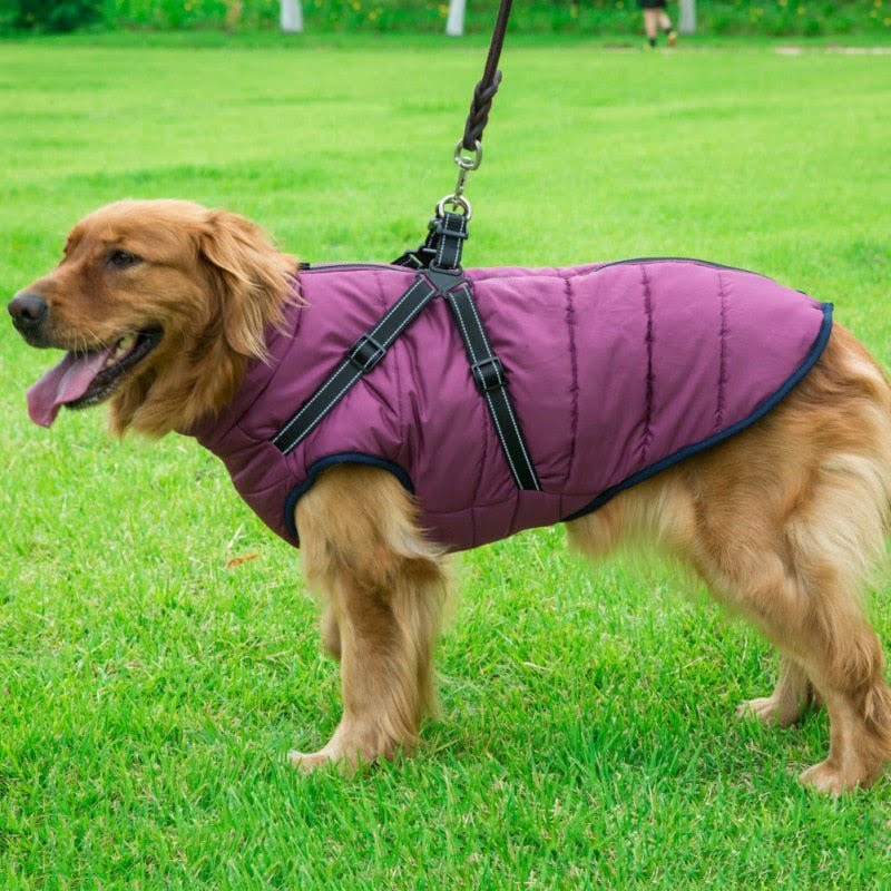 Waterproof Dog Winter Jacket With Harness